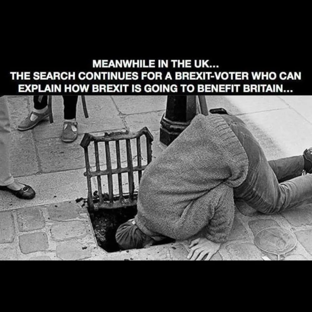 wingy37.bsky.social's profile picture