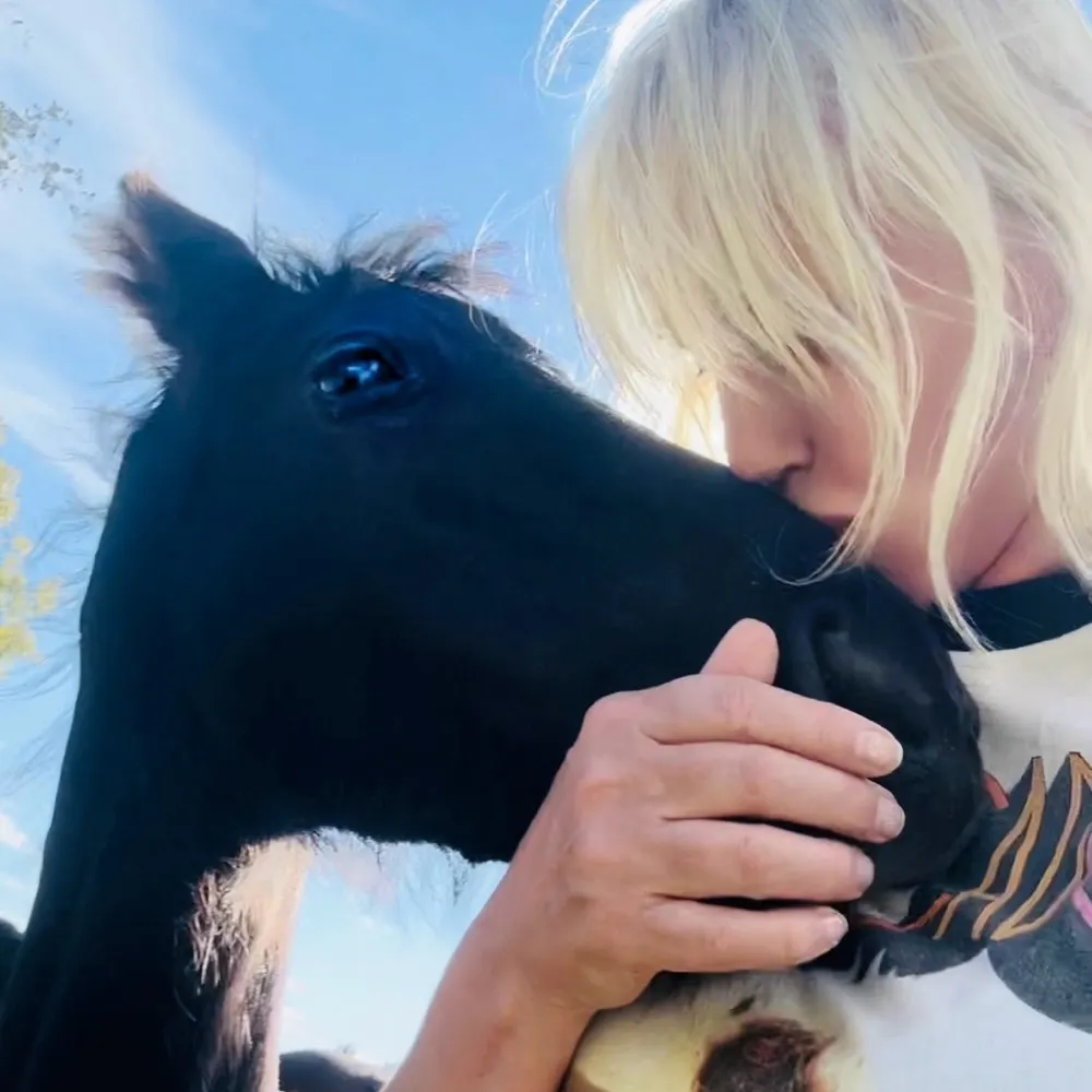 dhlovelife.bsky.social's profile picture