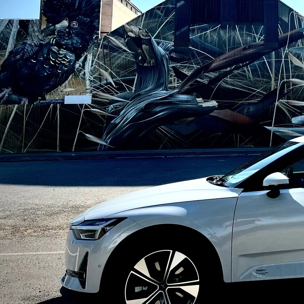 rmcq.bsky.social's profile picture