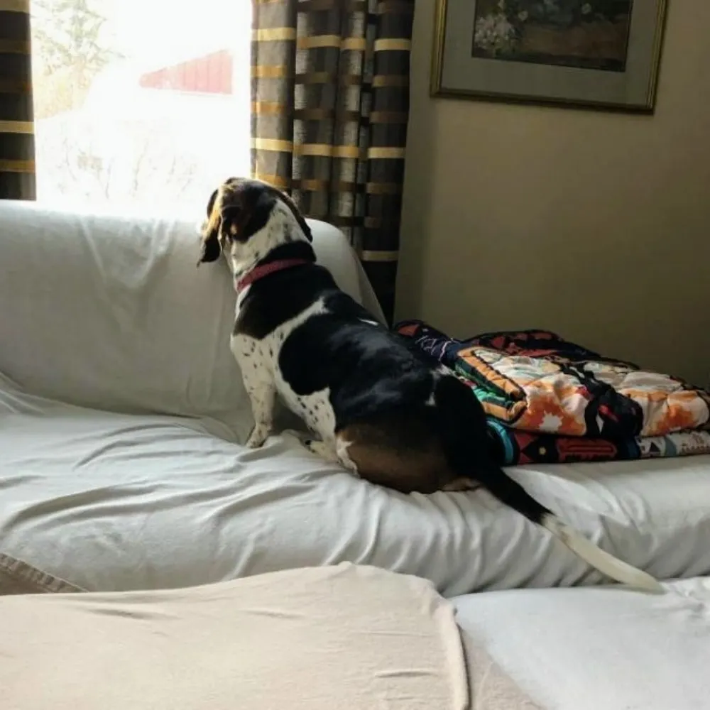 shark13djm.bsky.social's profile picture