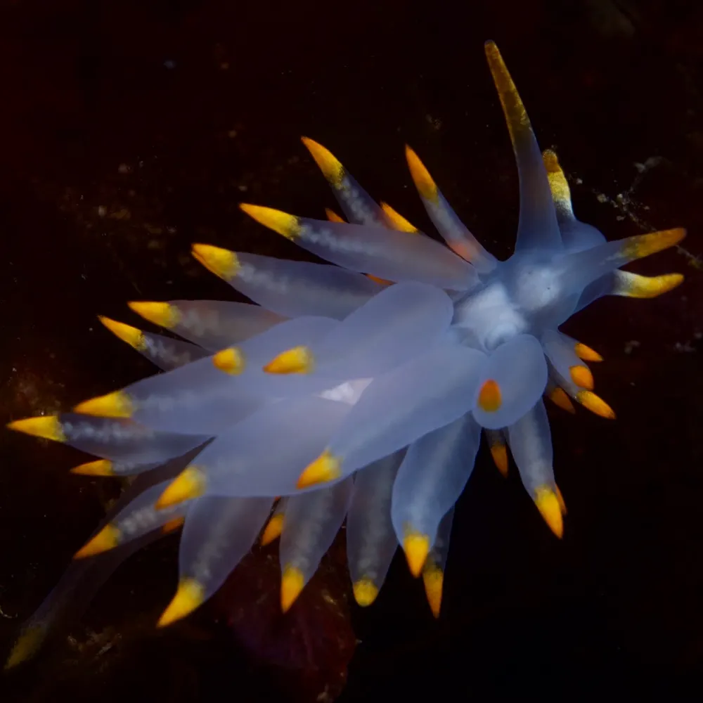 bade-morten.bsky.social's profile picture