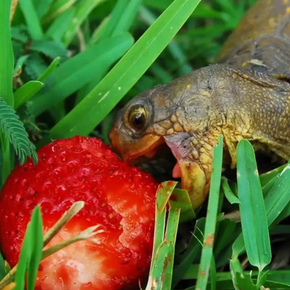 waxmonkey.bsky.social's profile picture