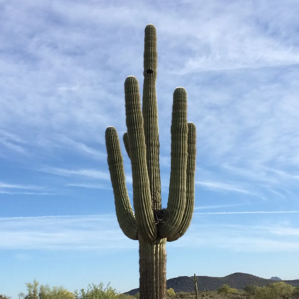 mattgill.me's profile picture