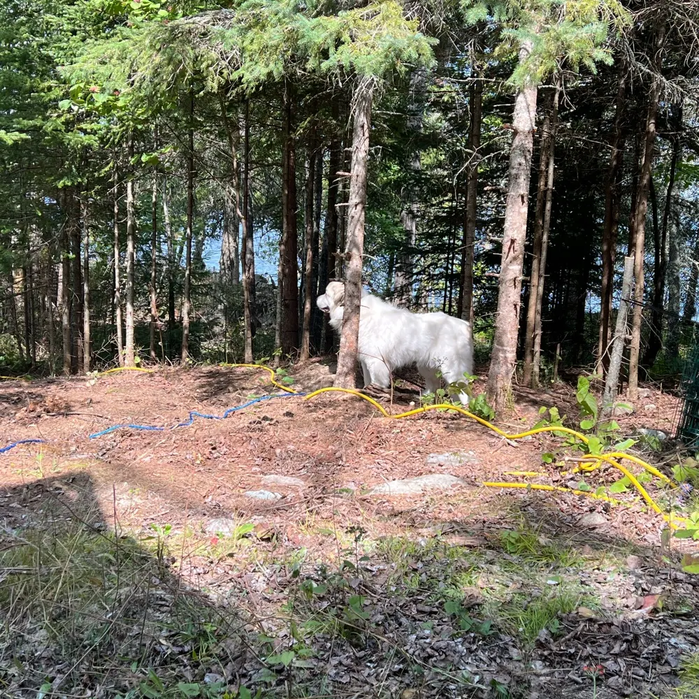 ebenezerscrooge5.bsky.social's profile picture