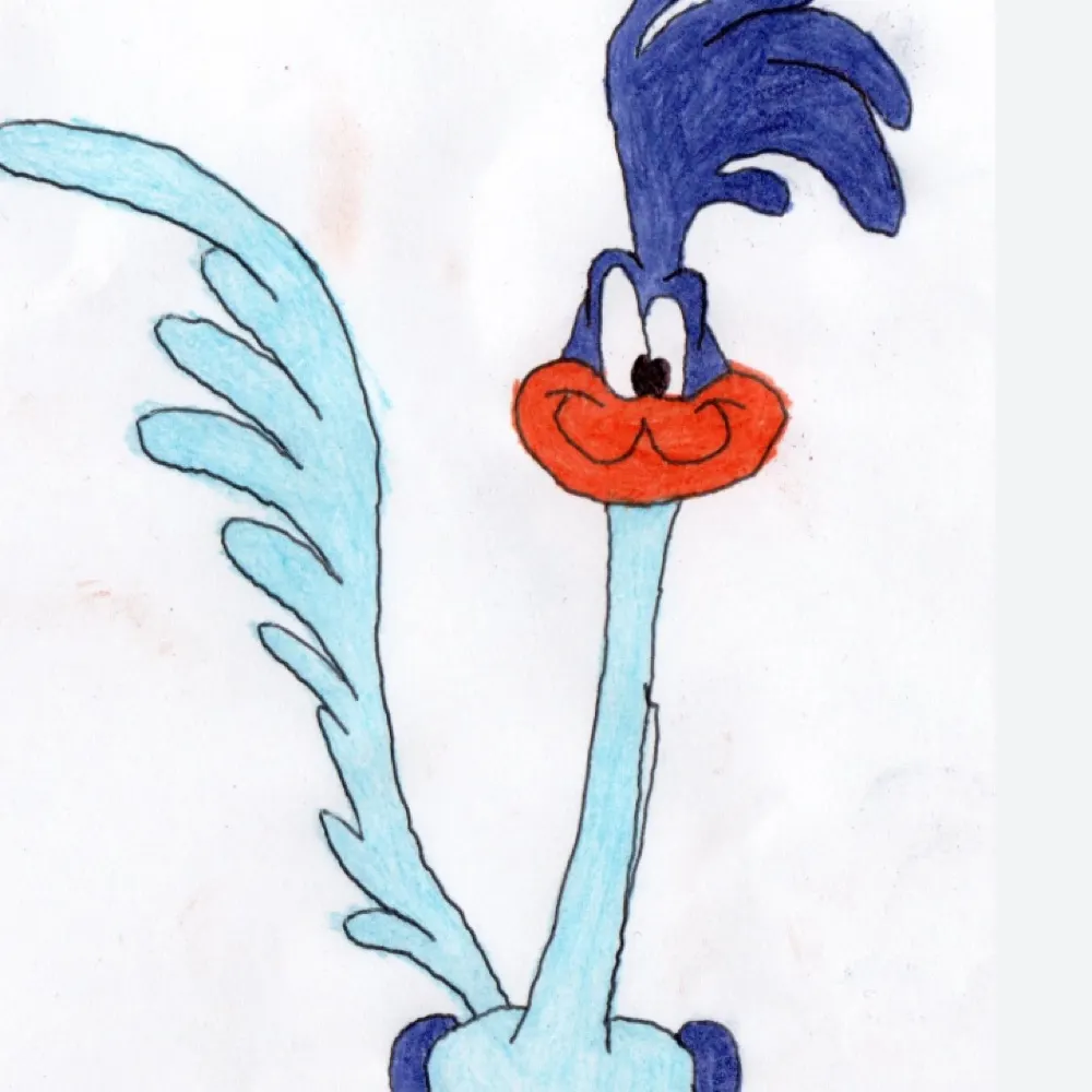 roadrunner33.bsky.social's profile picture