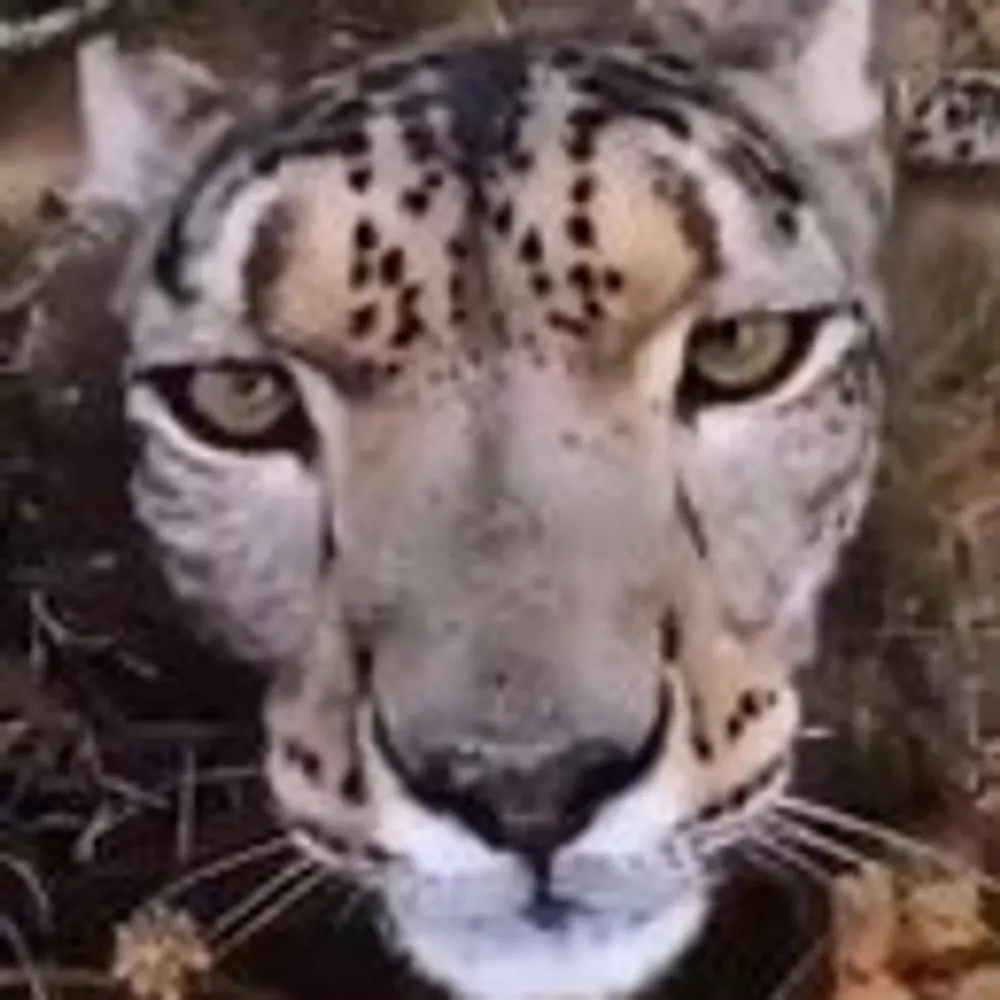 richardthunderbay.bsky.social's profile picture