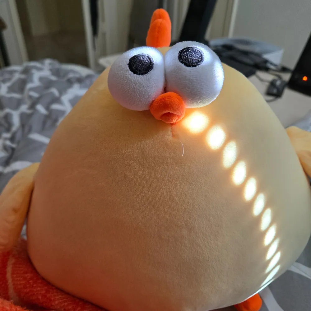 joeywingster.bsky.social's profile picture