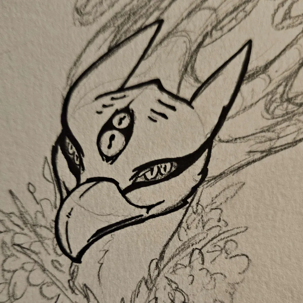 birdthulu.bsky.social's profile picture