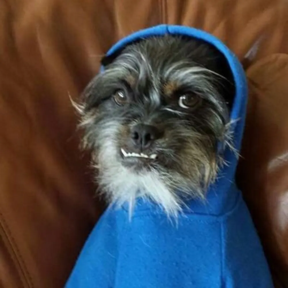 lancethepants.bsky.social's profile picture