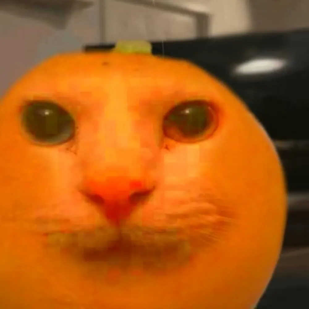 clickerty.bsky.social's profile picture