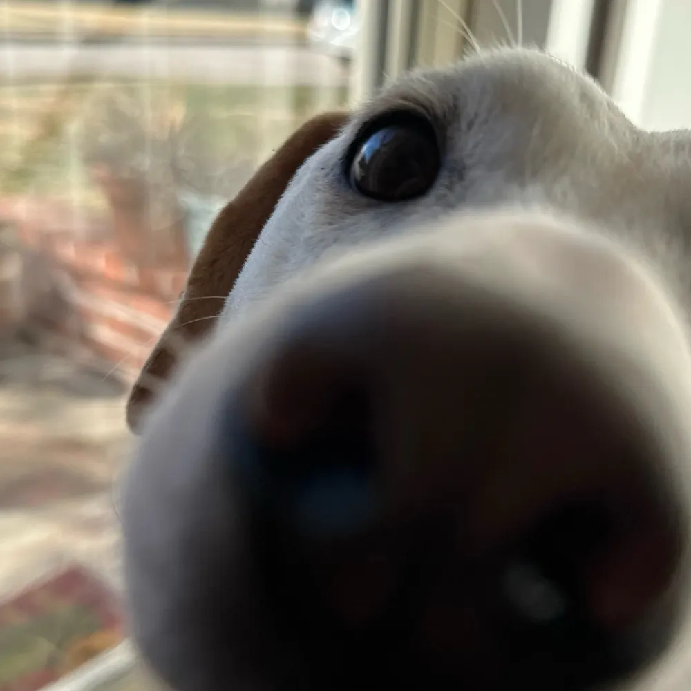 hann23.bsky.social's profile picture