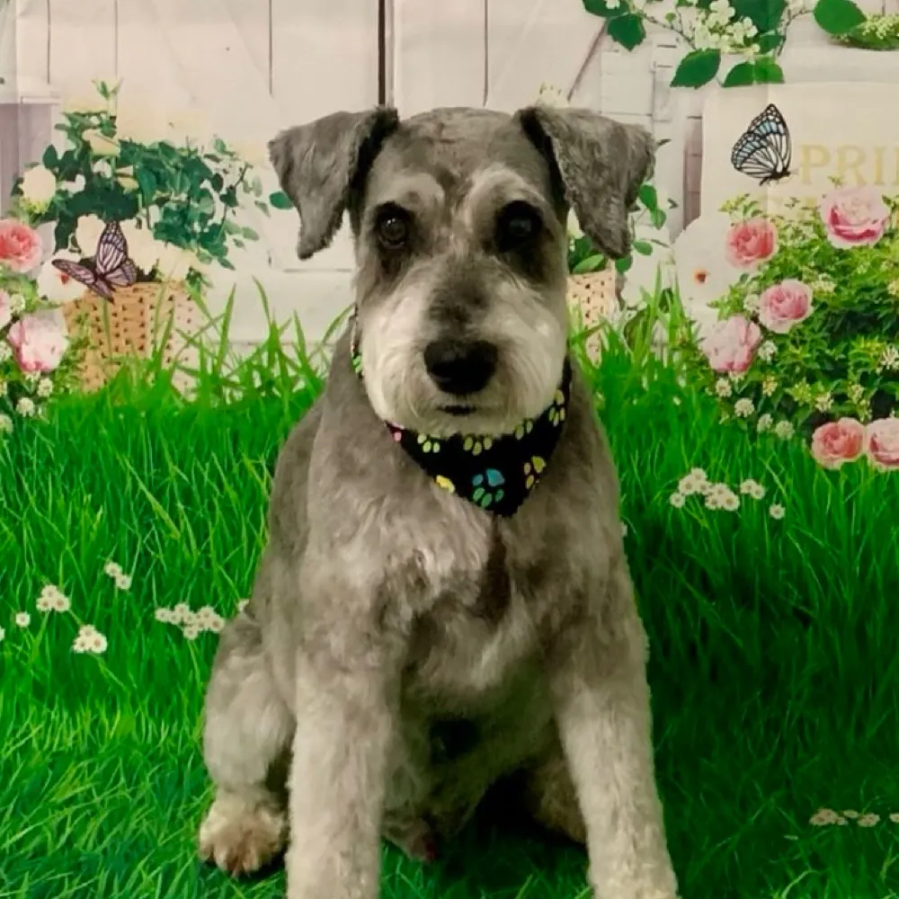 sandyjamesbooks.bsky.social's profile picture