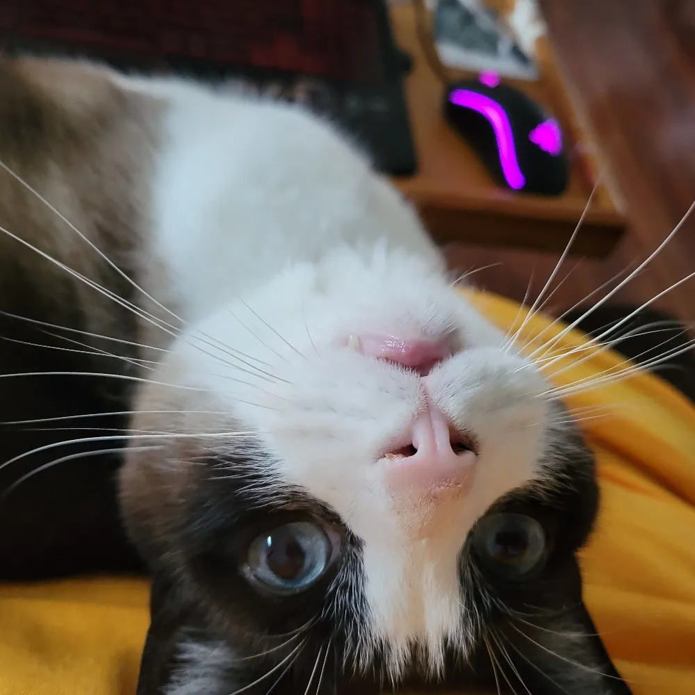 sarrist.bsky.social's profile picture