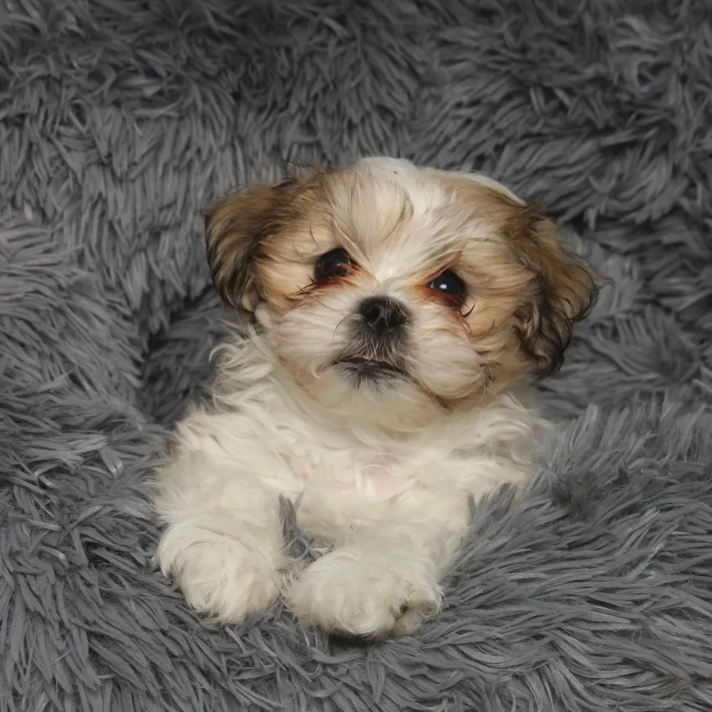 maggie25.bsky.social's profile picture