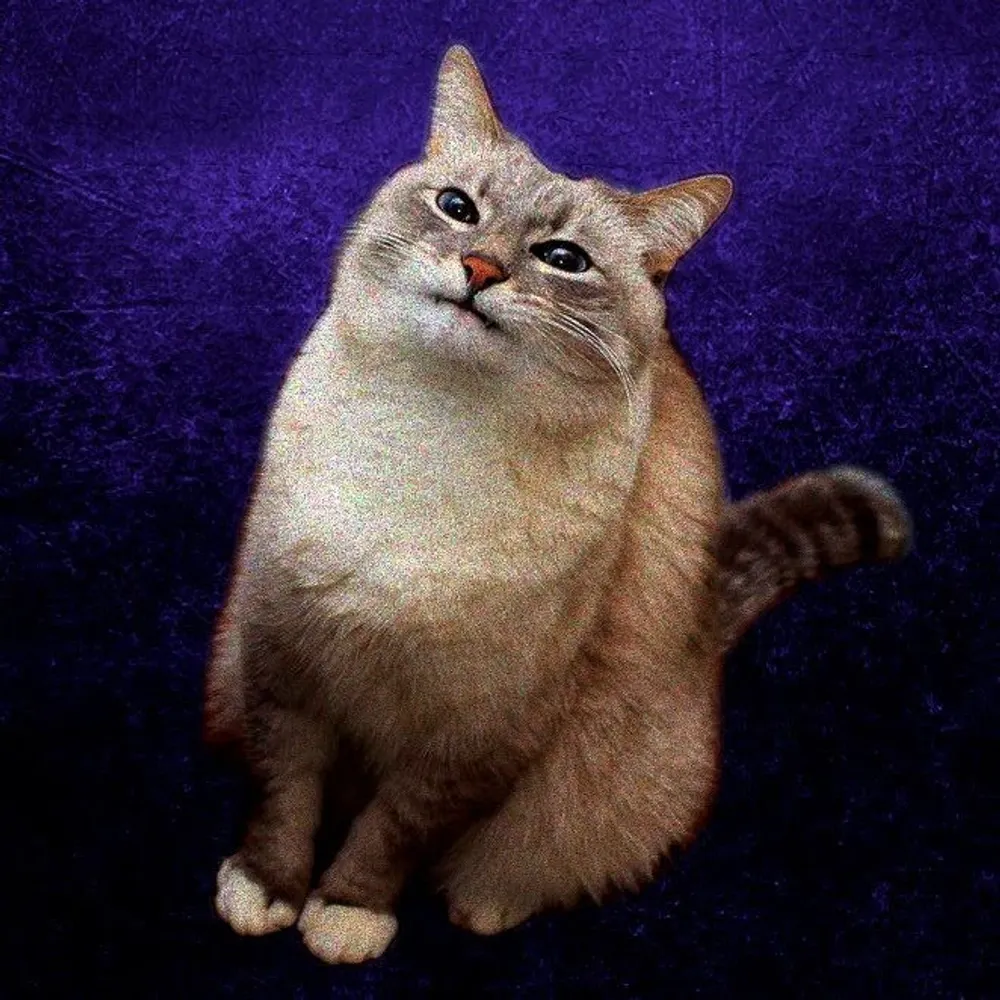 osorkonius.eurosky.social's profile picture