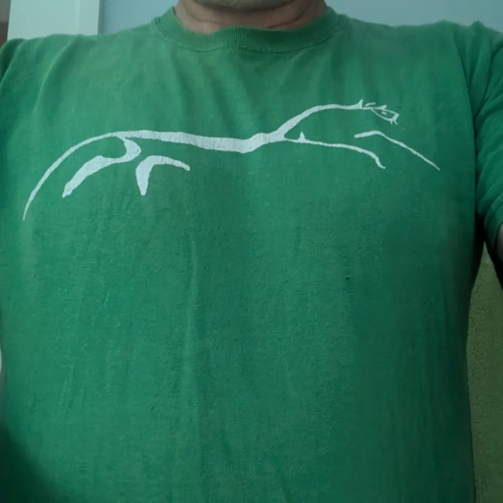 robertkis.bsky.social's profile picture