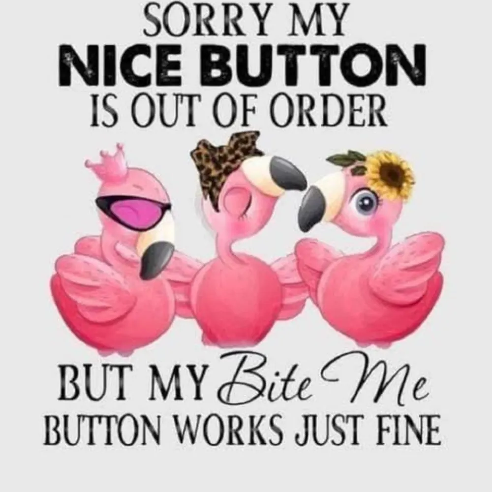 ashleygirl.bsky.social's profile picture