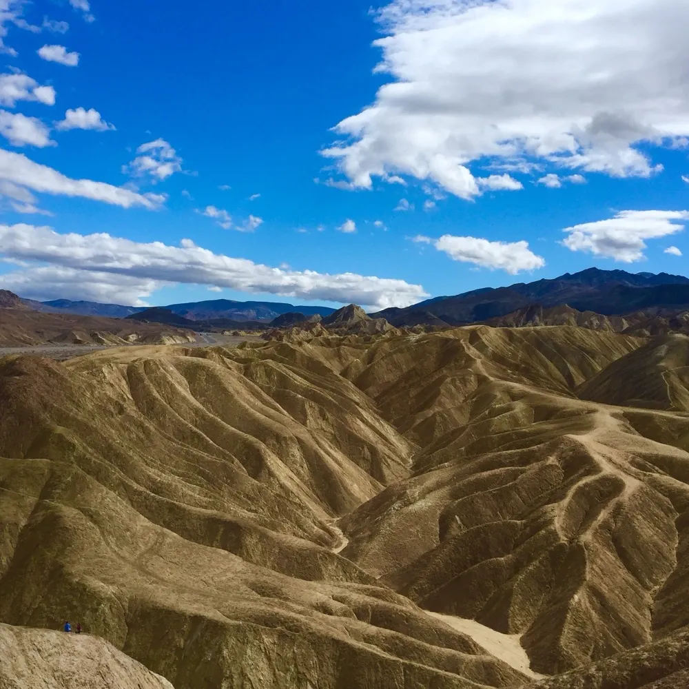 markfford.bsky.social's profile picture