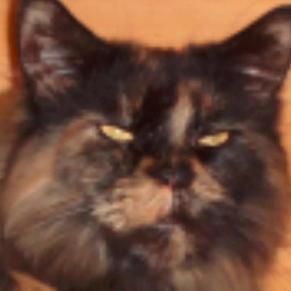 minisalkku.bsky.social's profile picture