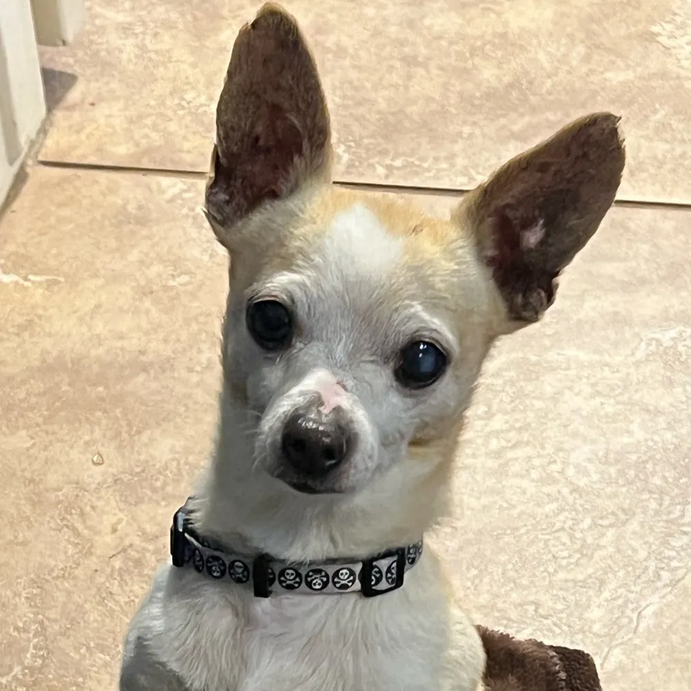 sueboothompson.bsky.social's profile picture