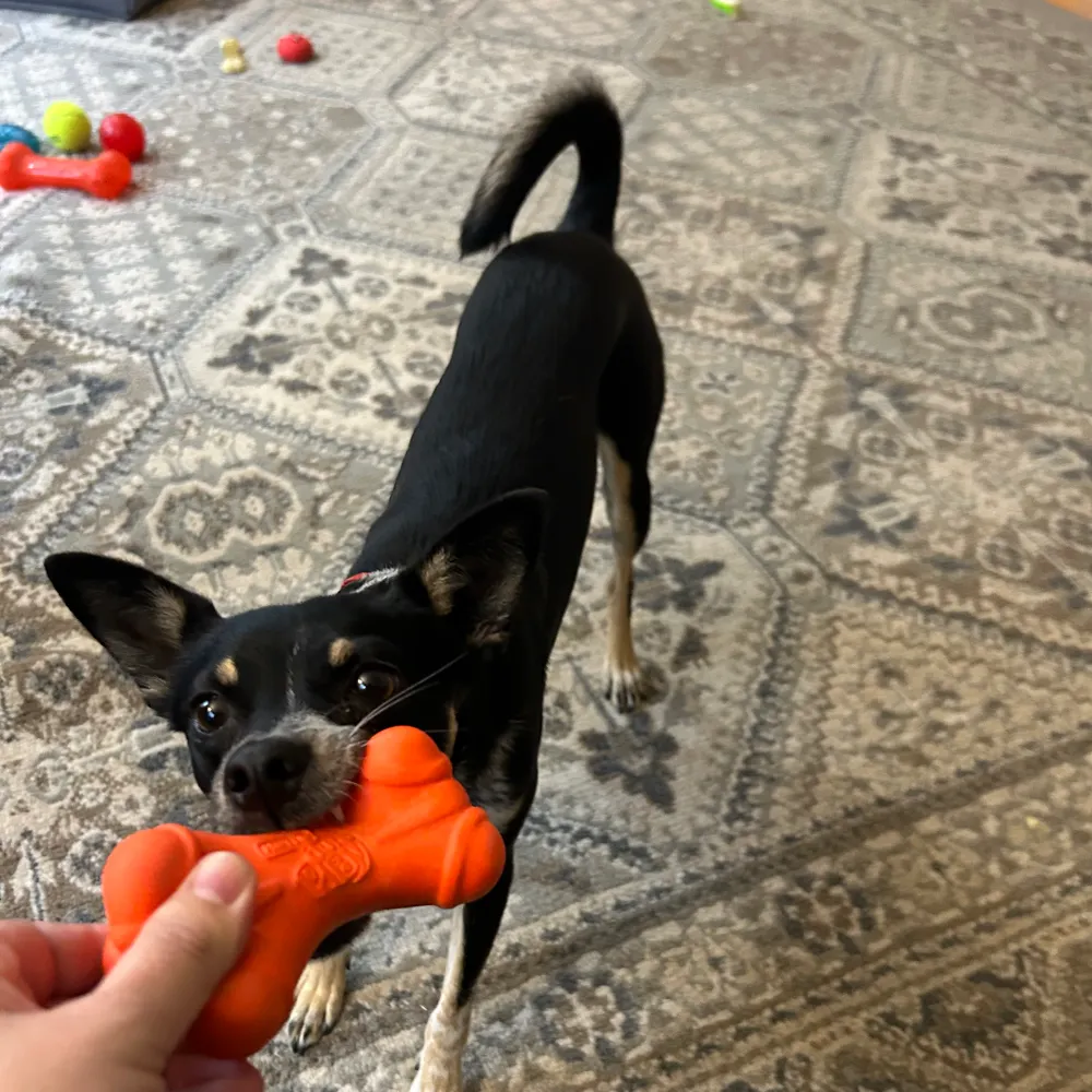 joepaul1.bsky.social's profile picture