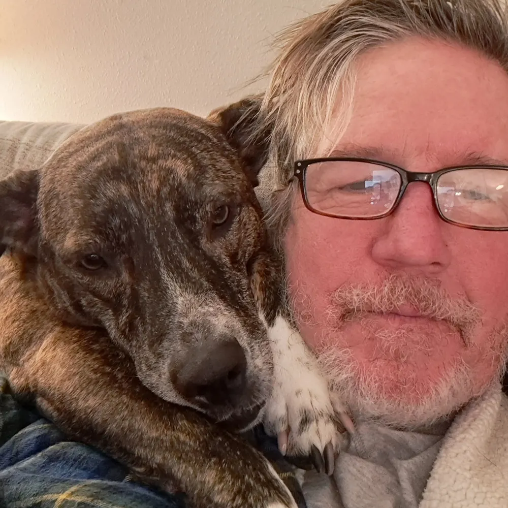 dbmain.bsky.social's profile picture