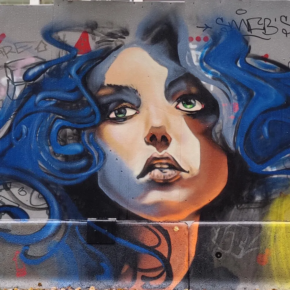 patigallardo.bsky.social's profile picture