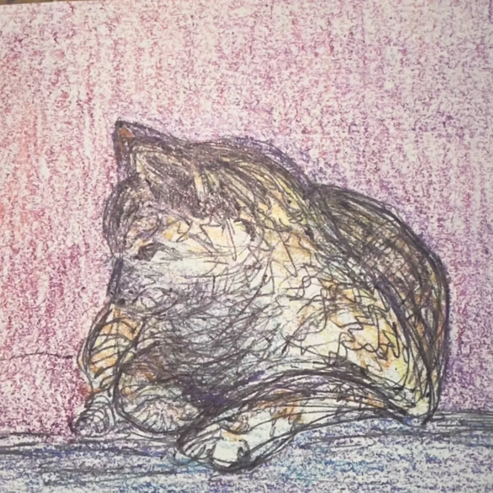 tobiasbaldwin.bsky.social's profile picture