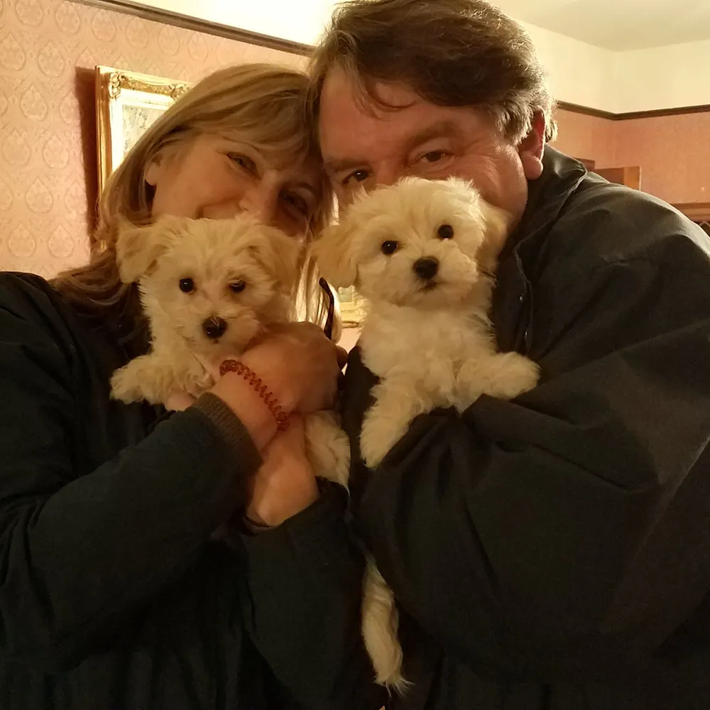 seekingserenity.bsky.social's profile picture