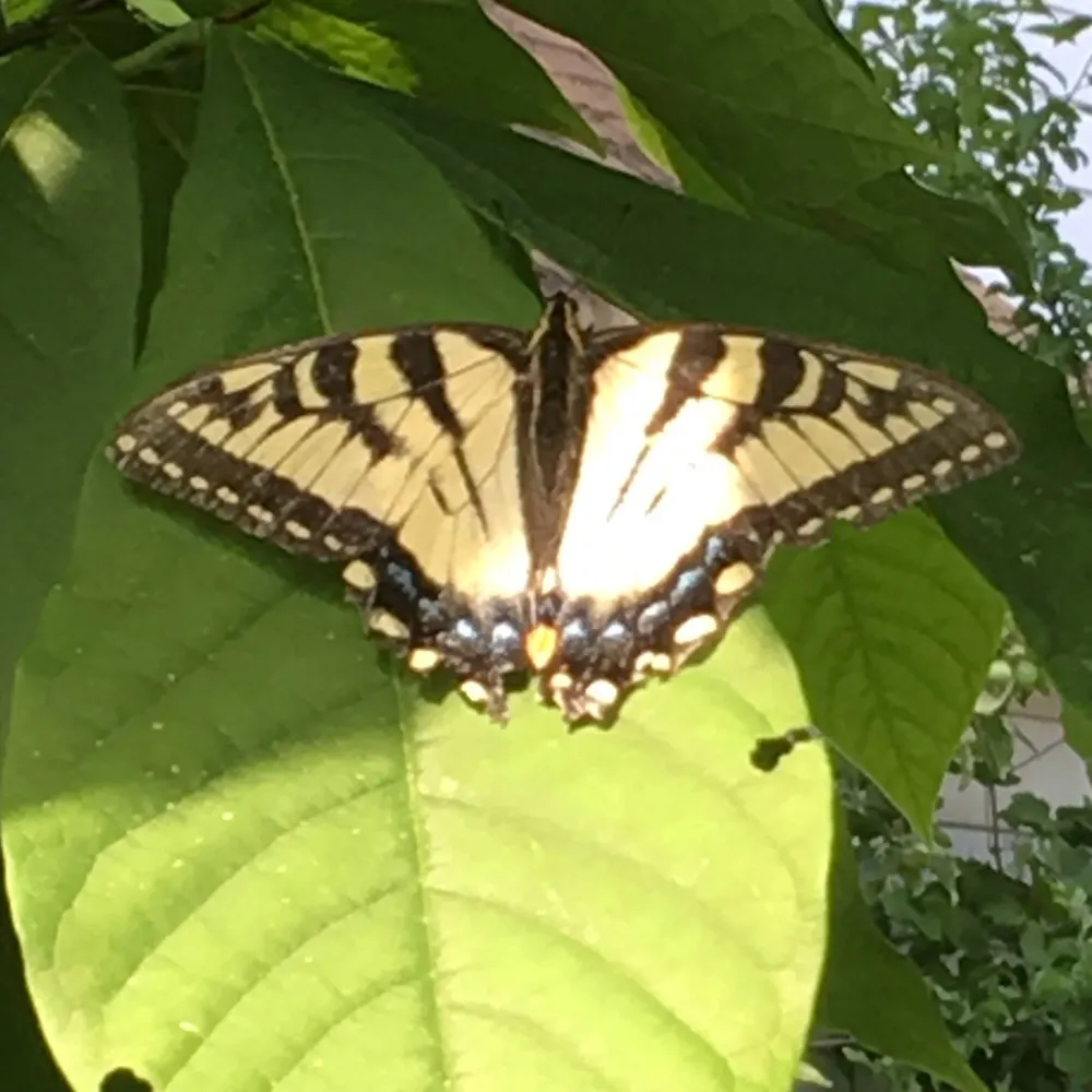 everyripple.bsky.social's profile picture