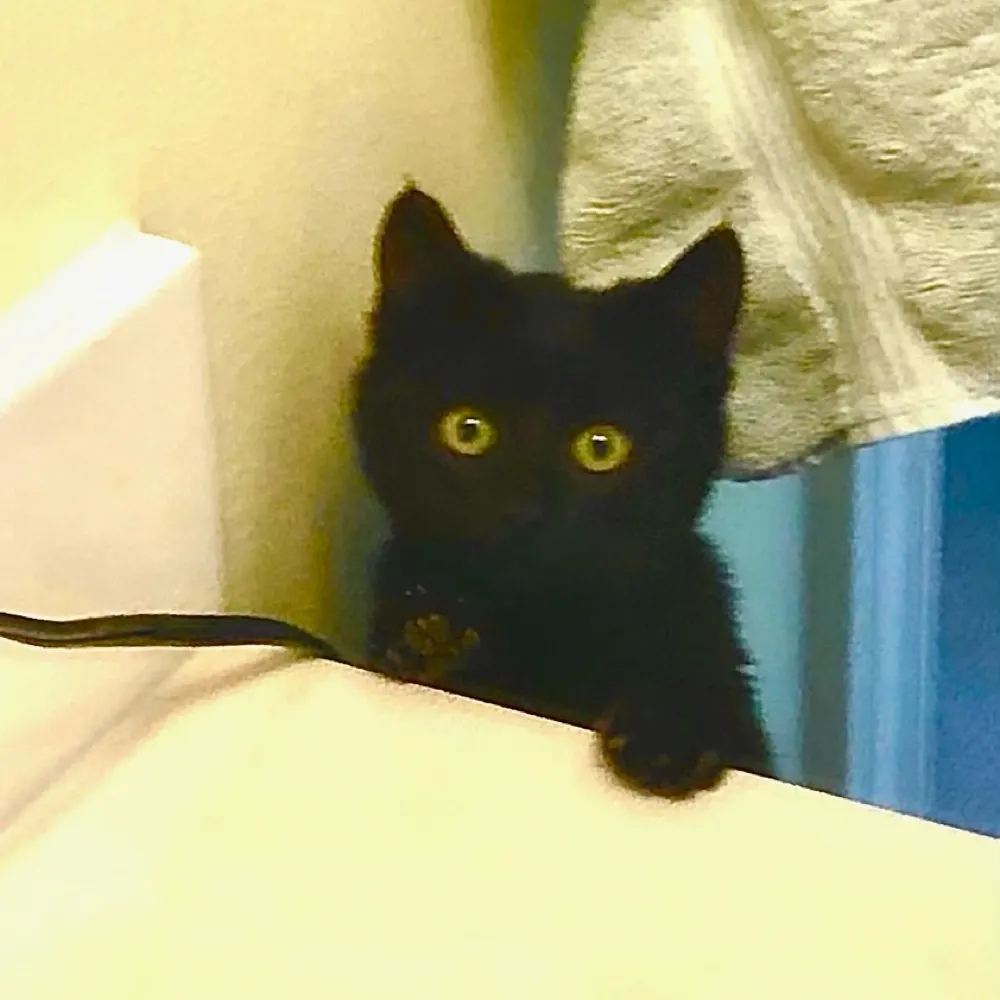 welldonetruly.bsky.social's profile picture