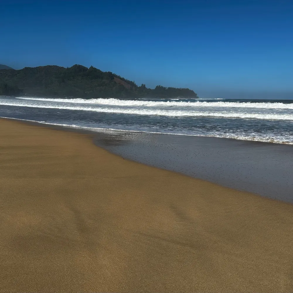 boomeronthebeach.bsky.social's profile picture