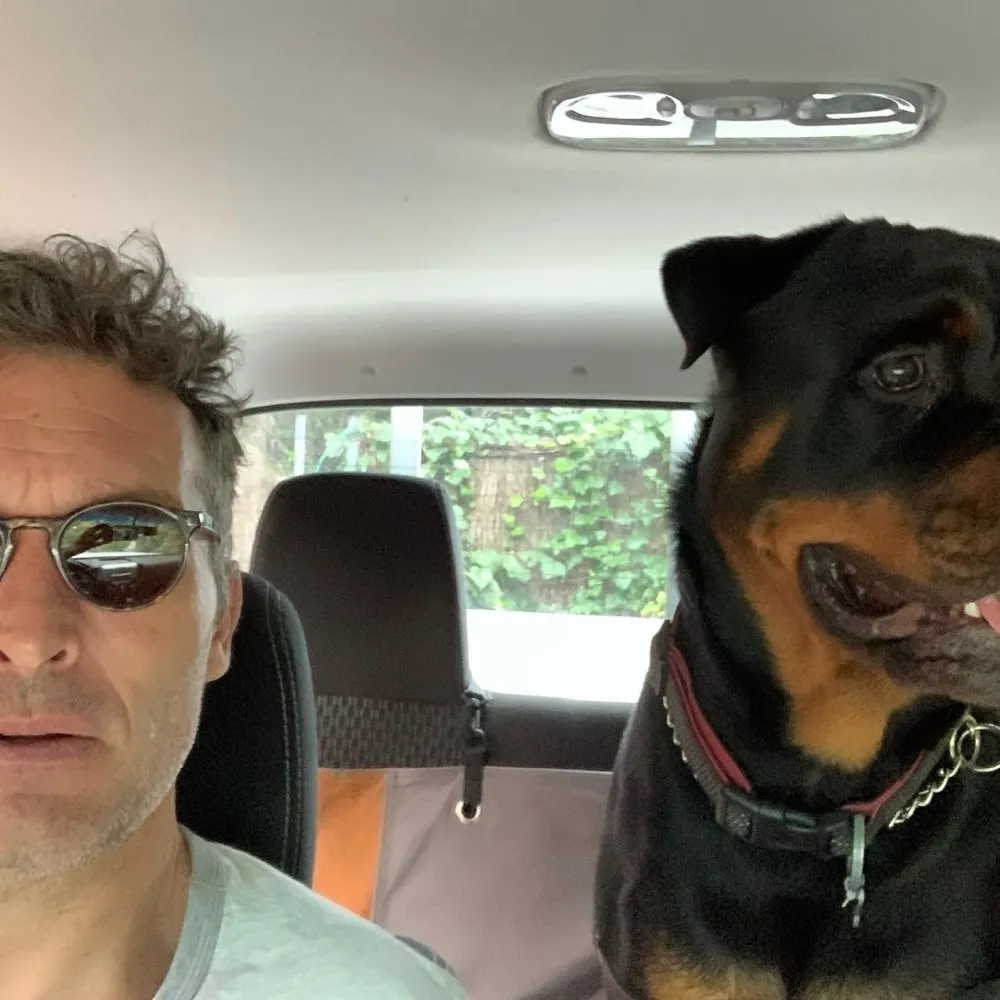 buddpete.bsky.social's profile picture