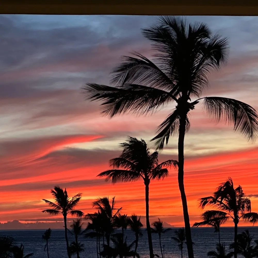 dancerfern4vr.bsky.social's profile picture