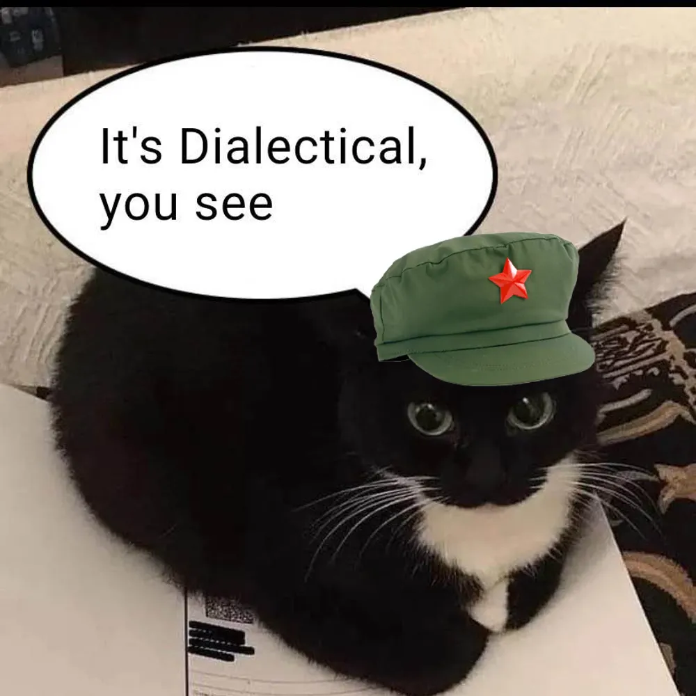 subcomandante-lexi.bsky.social's profile picture