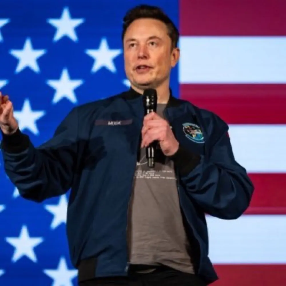 elonmusk8384.bsky.social's profile picture