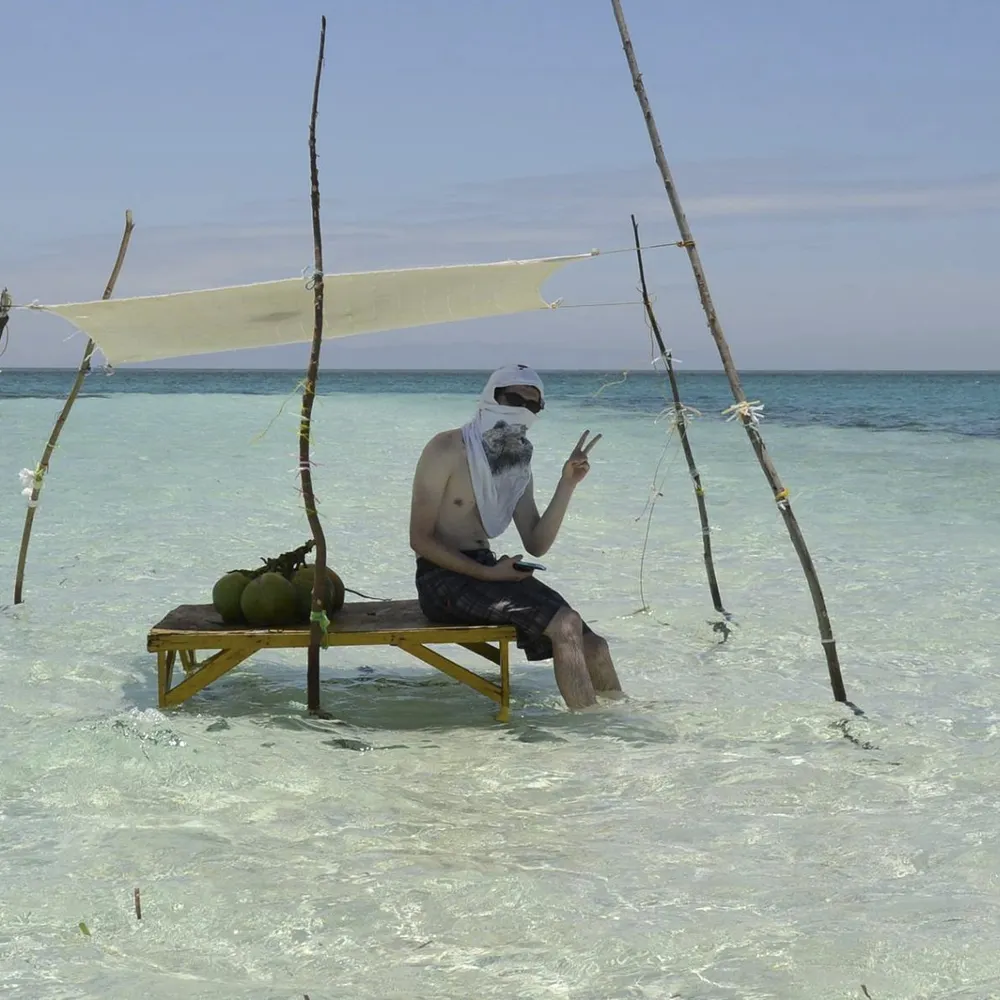 seanny123.bsky.social's profile picture