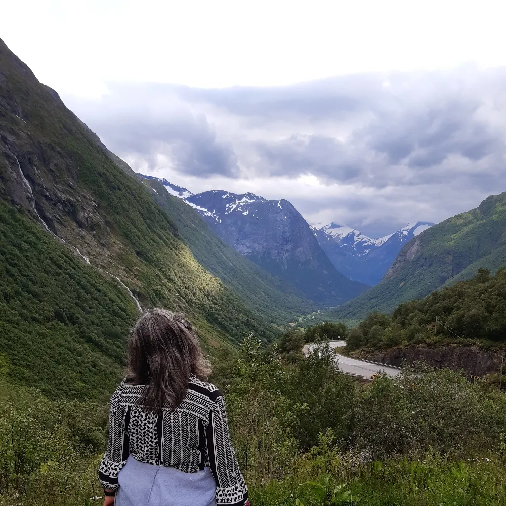 tedij.bsky.social's profile picture