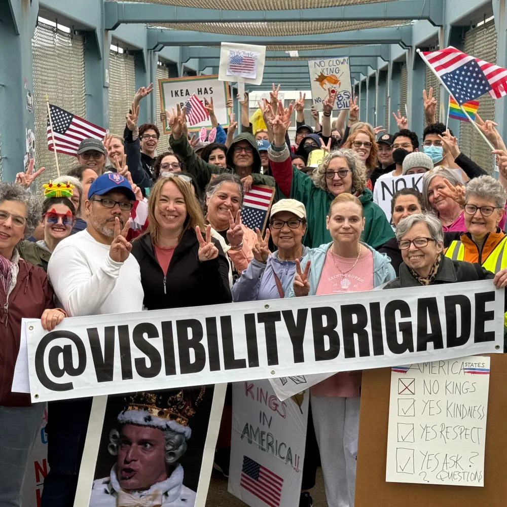 visibilitybrigade.bsky.social's profile picture