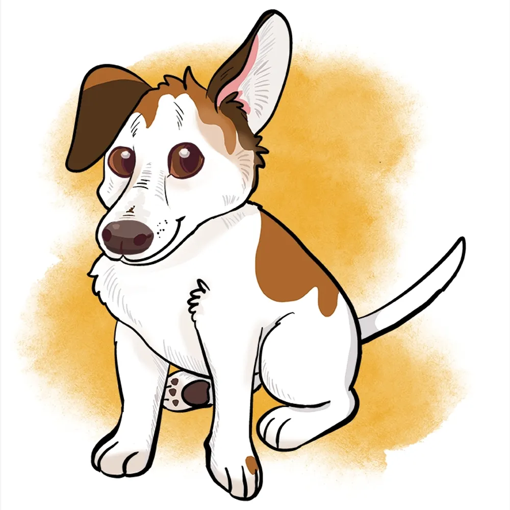 glgnfz.bsky.social's profile picture