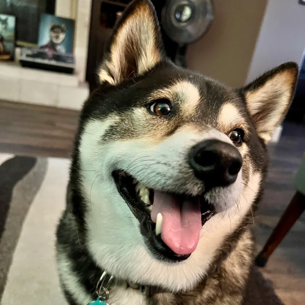 seawarrior.bsky.social's profile picture