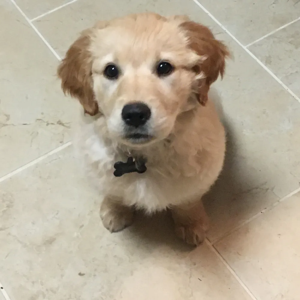 bookschocolate.bsky.social's profile picture