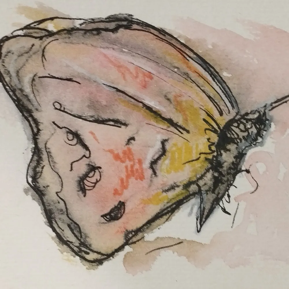 totr.bsky.social's profile picture