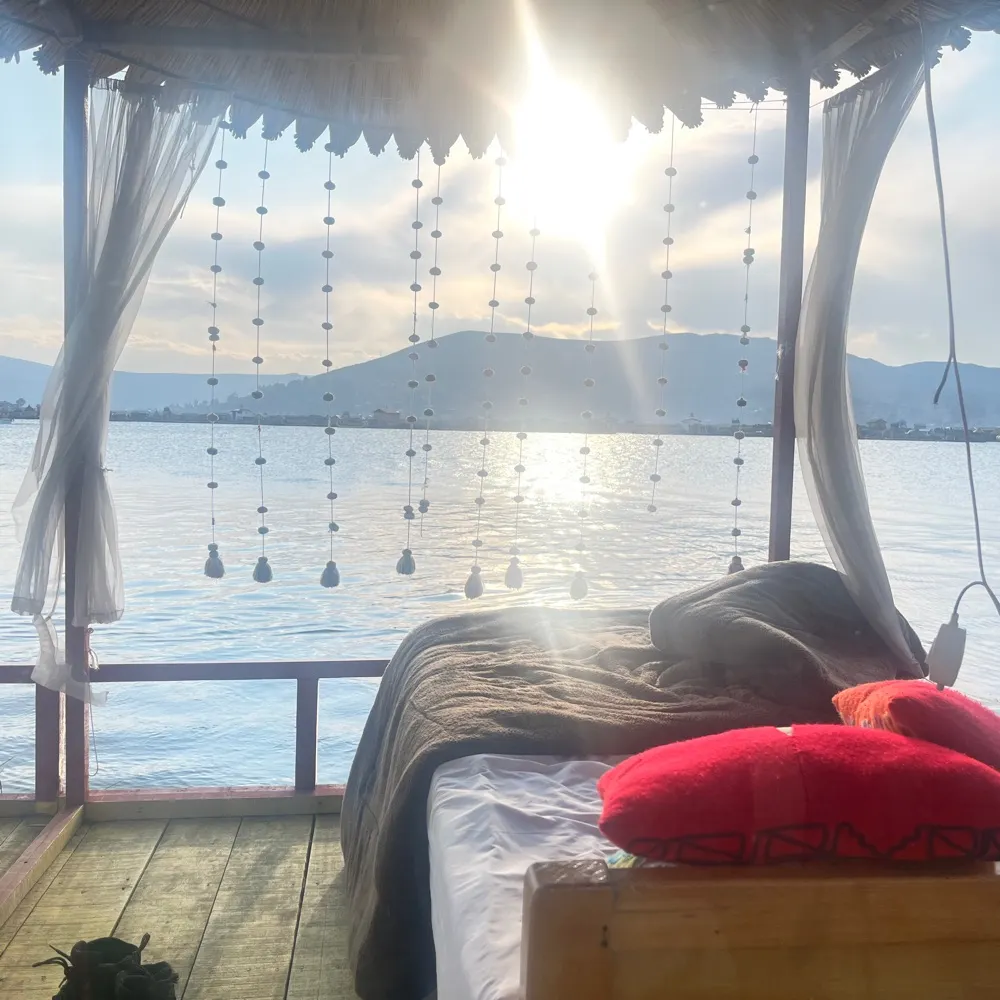 onewisemove.bsky.social's profile picture