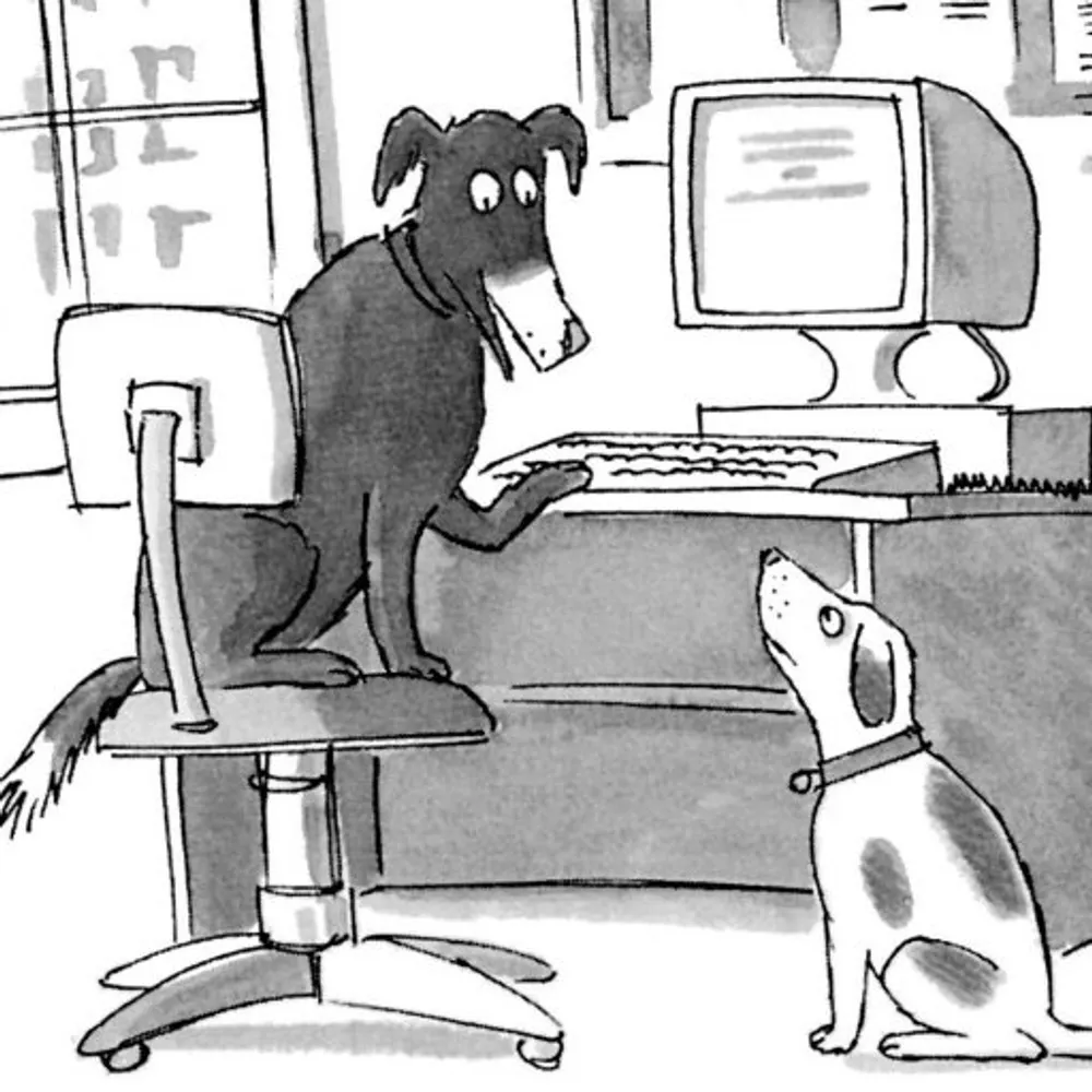 markshore.bsky.social's profile picture