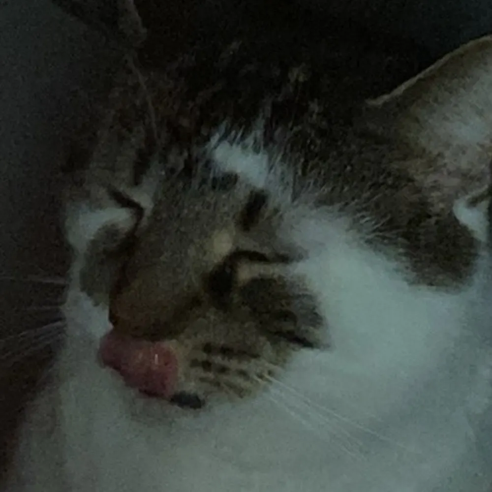 effjr.bsky.social's profile picture