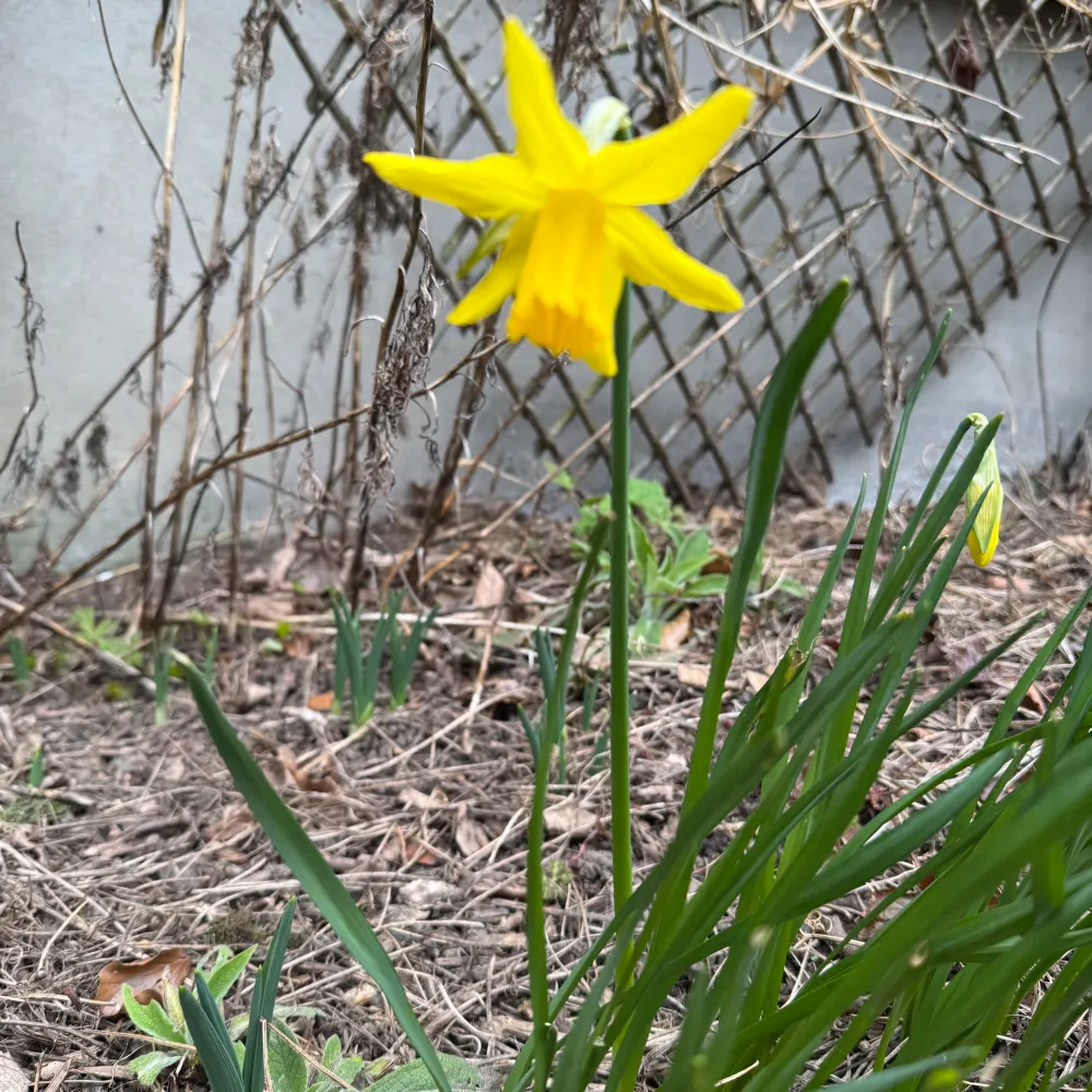 europesheila.bsky.social's profile picture