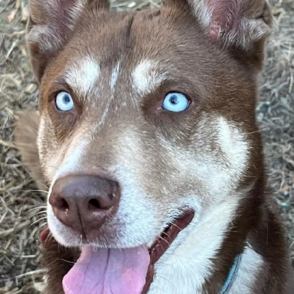 maggie-nickson.bsky.social's profile picture