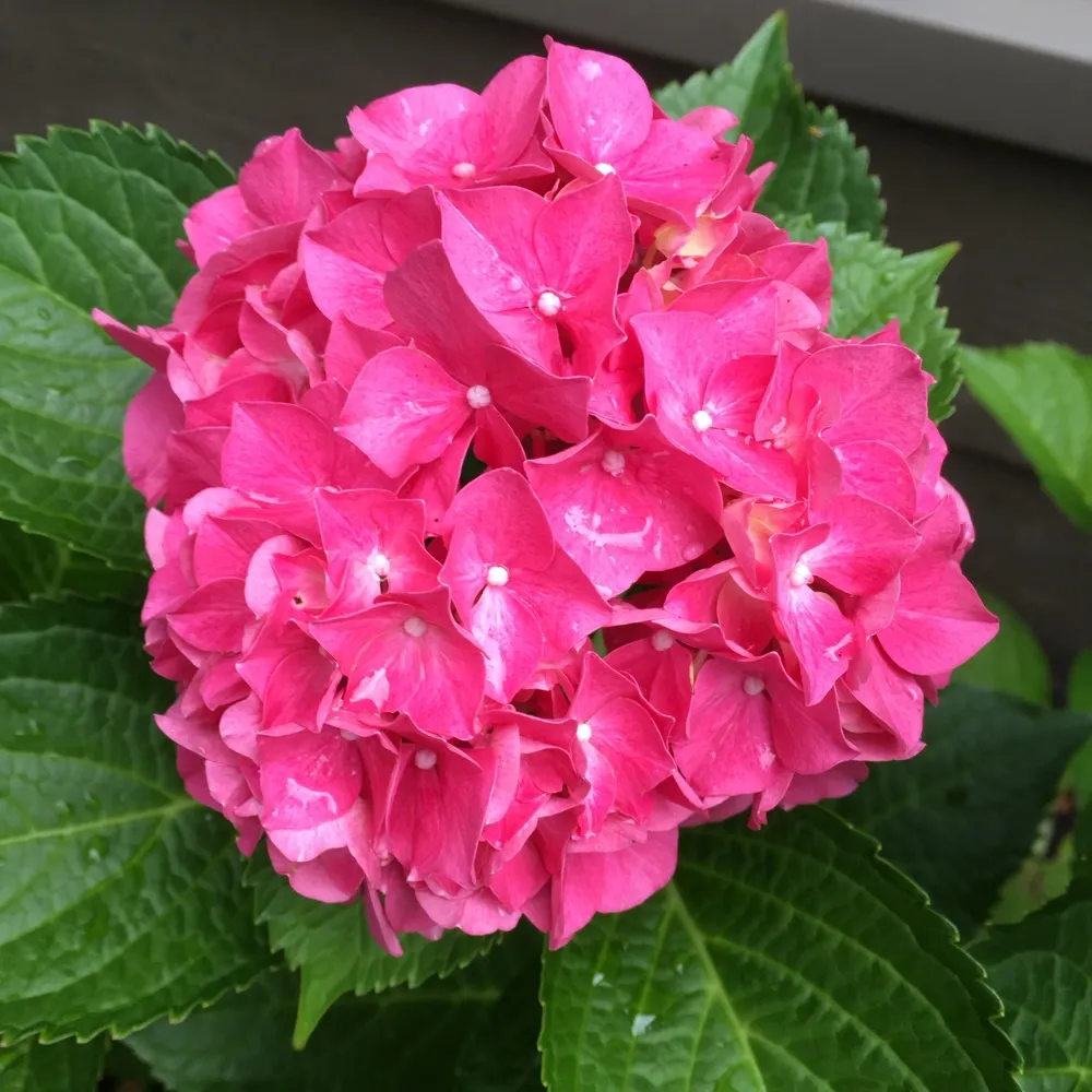 retire411.bsky.social's profile picture