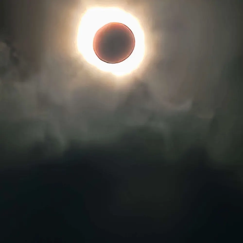 mahvenat.bsky.social's profile picture